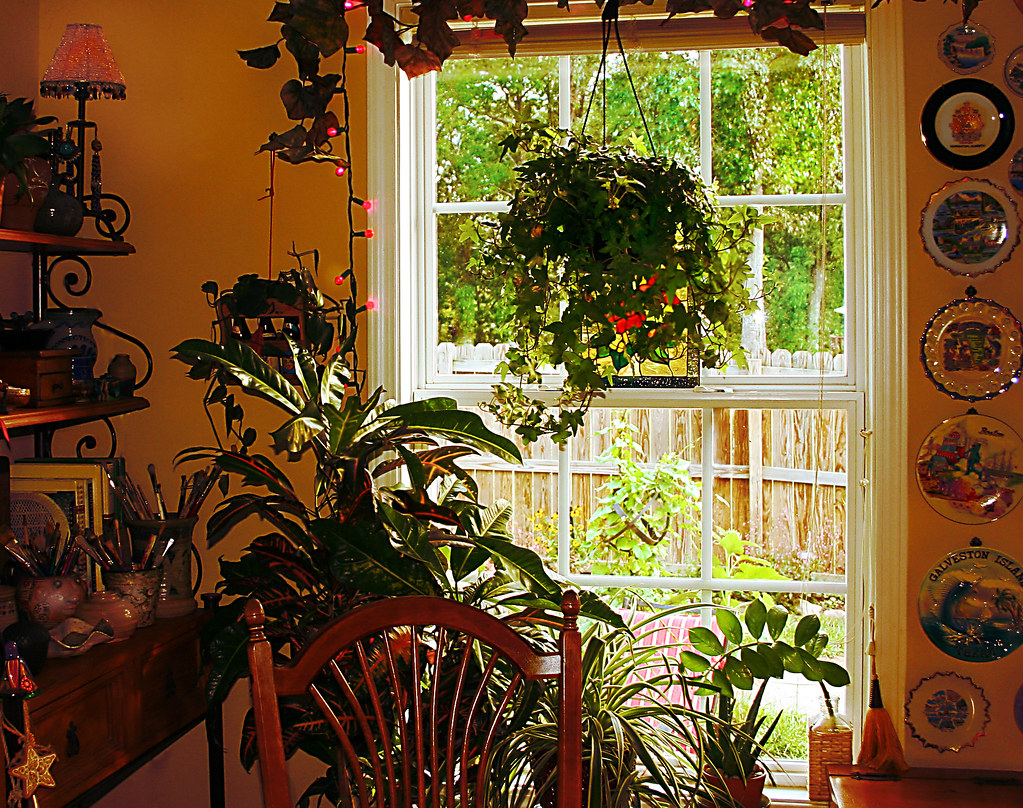 Rincón luminoso junto a una ventana con plantas